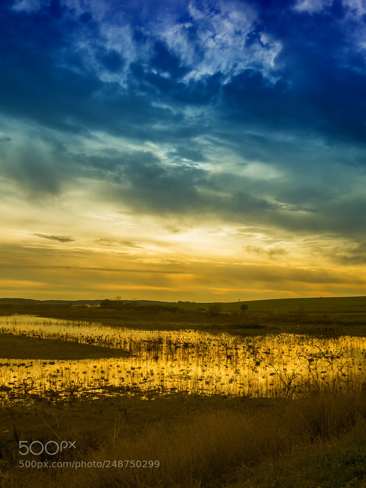 Olympus OM-D E-M10 sample photo. Sunset photography