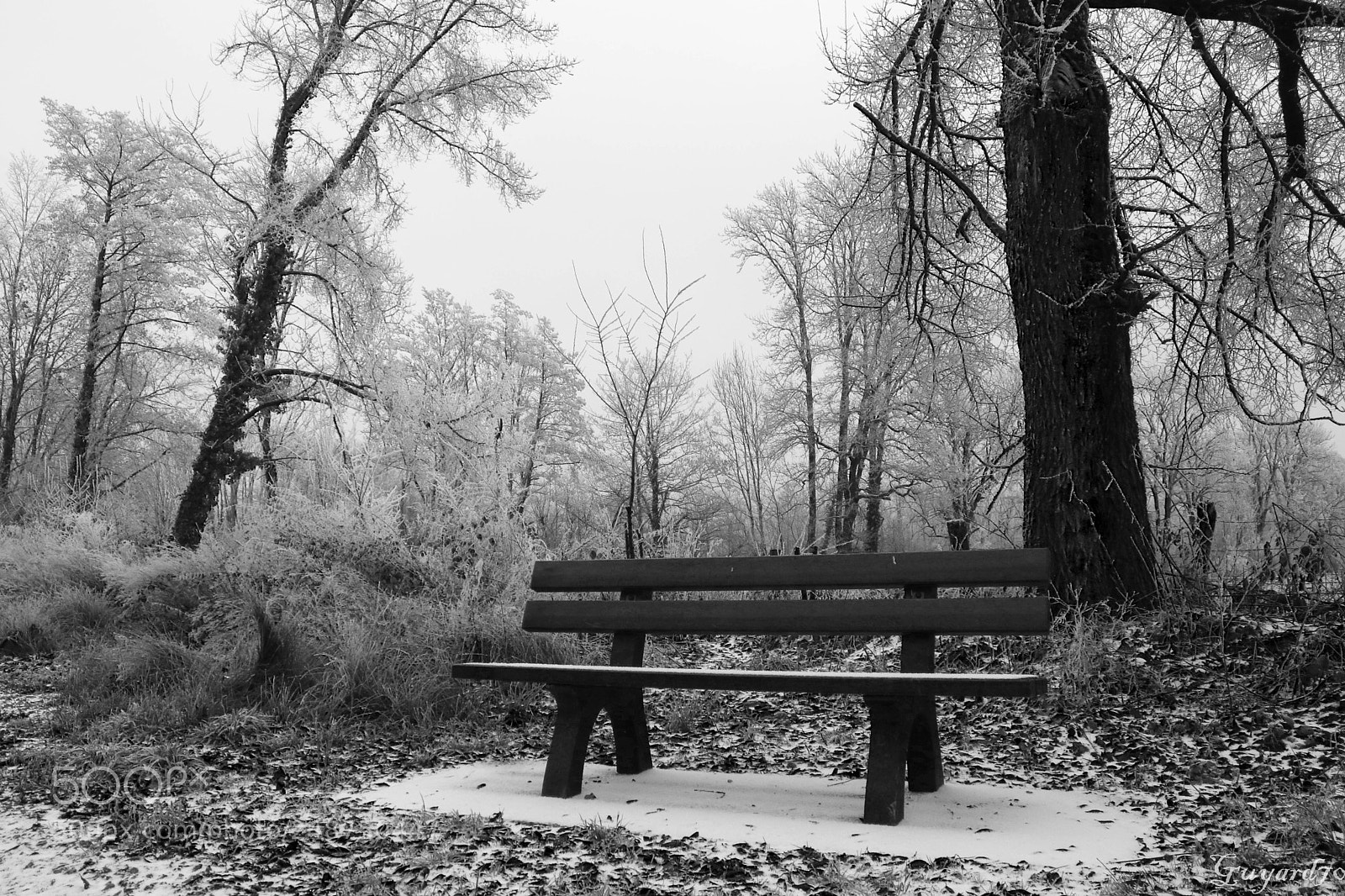 Canon EOS 80D sample photo. Banc en hiver photography