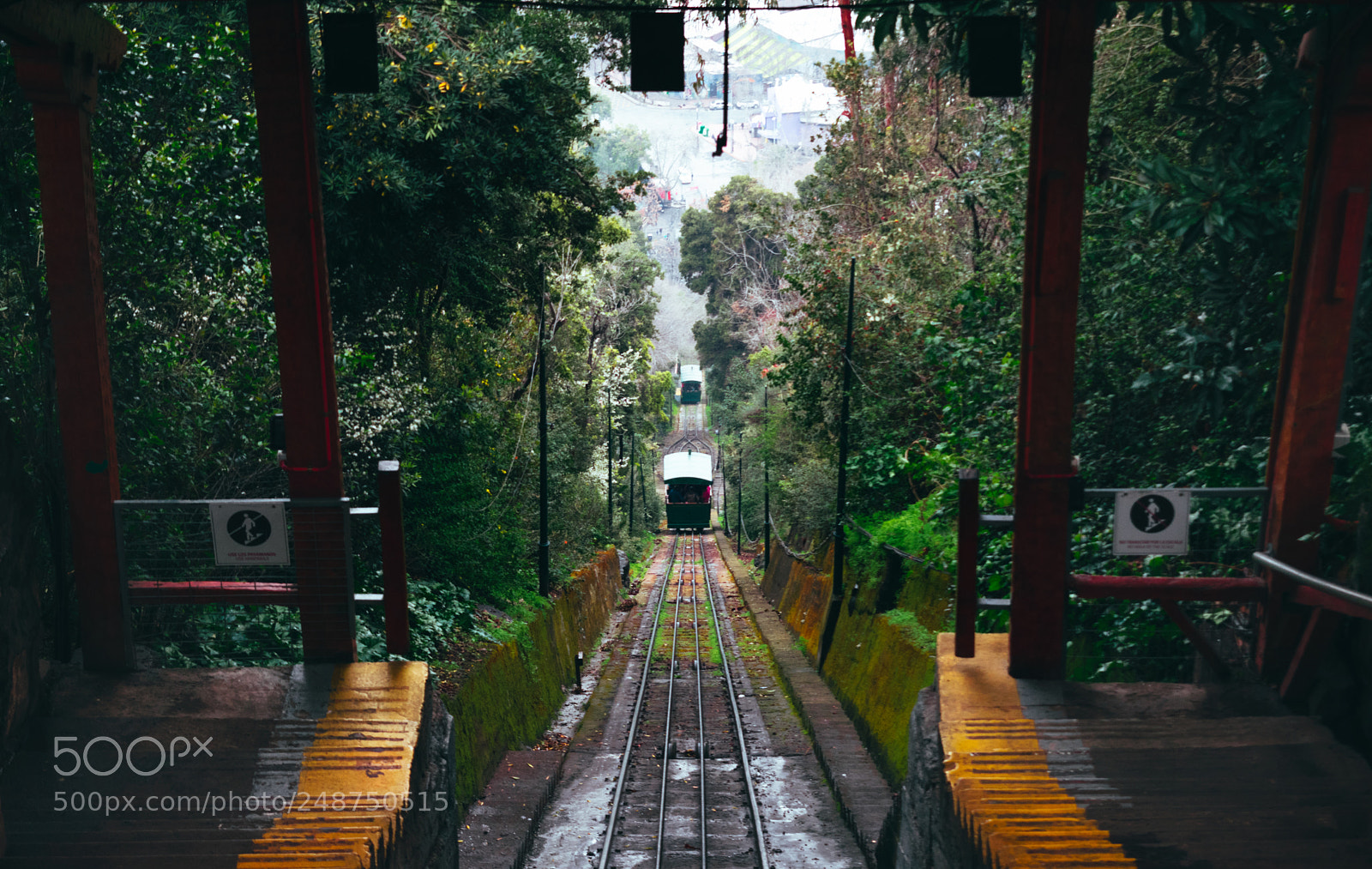 Nikon D5300 sample photo. Rail to nature photography