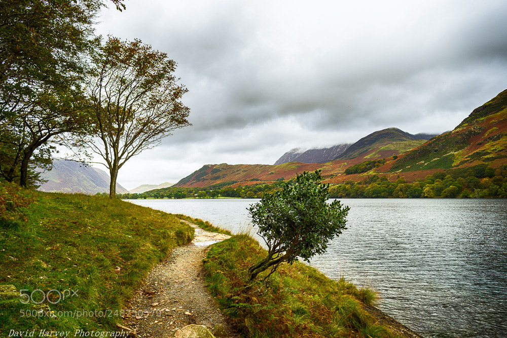 Nikon D7200 sample photo. A walk around buttermere photography