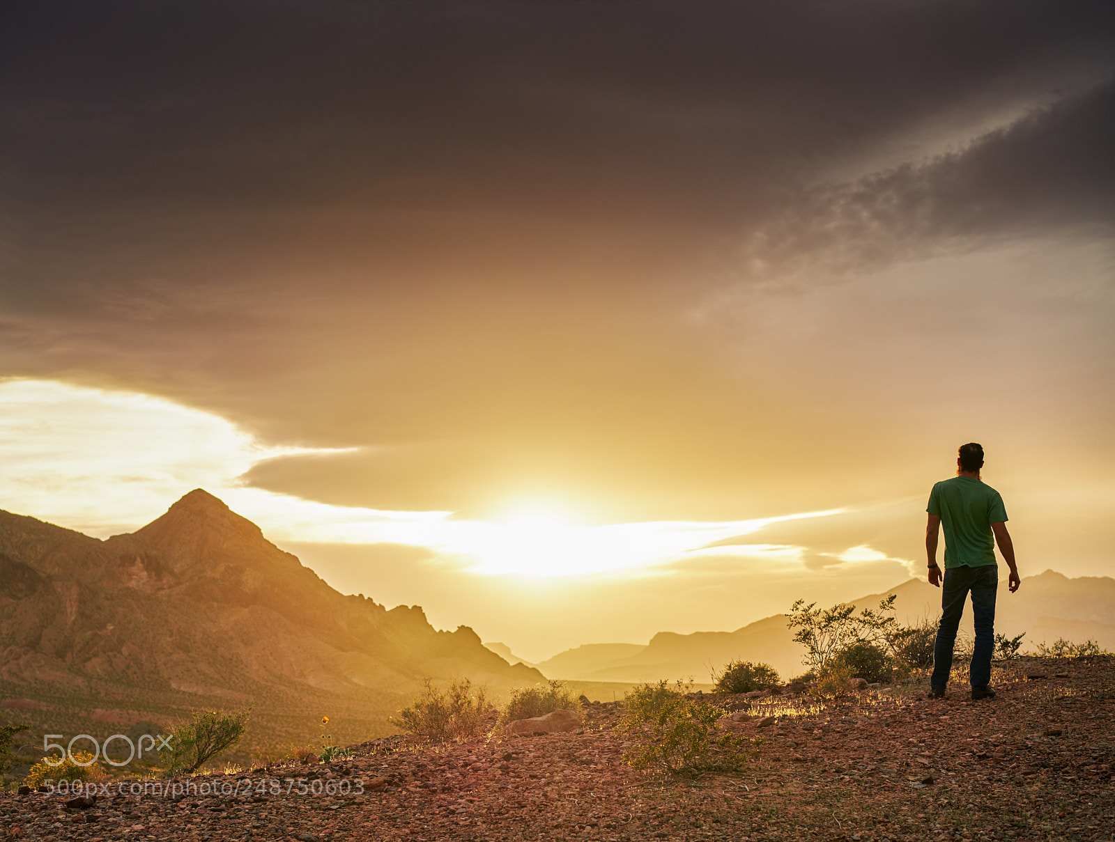 Sony a7R II sample photo. Man watching golden sunset photography