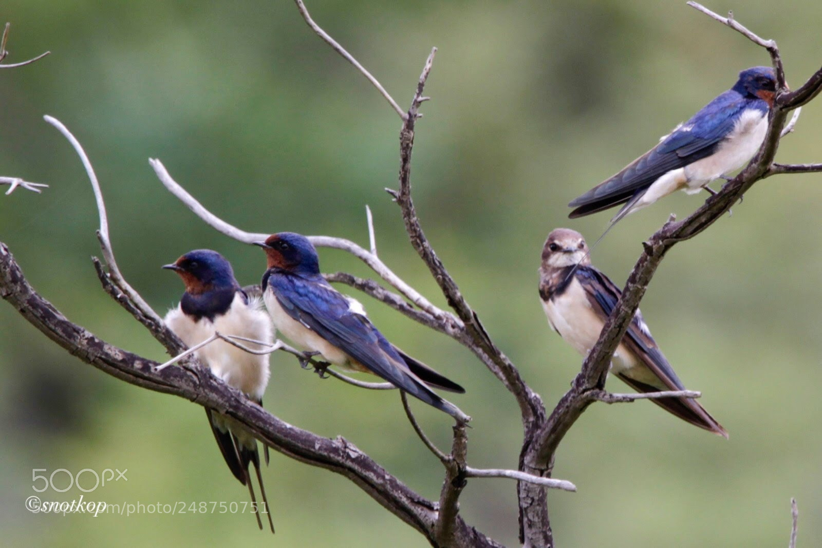 Canon EOS 7D sample photo. Untitled photography