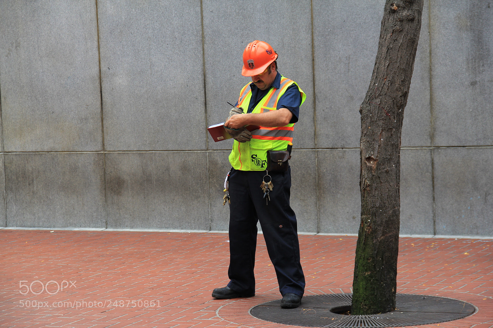 Canon EF-S 18-135mm F3.5-5.6 IS sample photo. Super mario photography