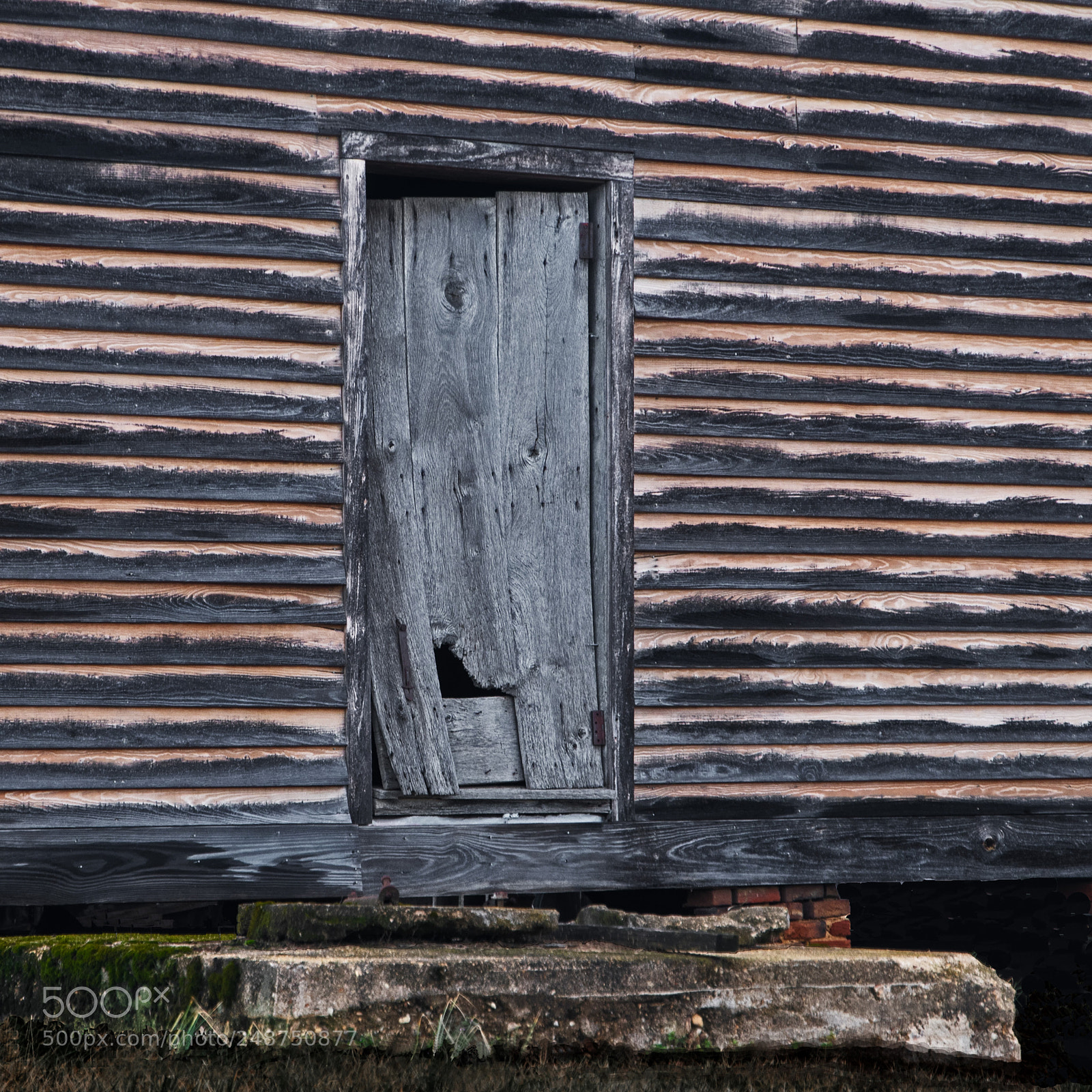 Nikon D500 sample photo. Barn door photography