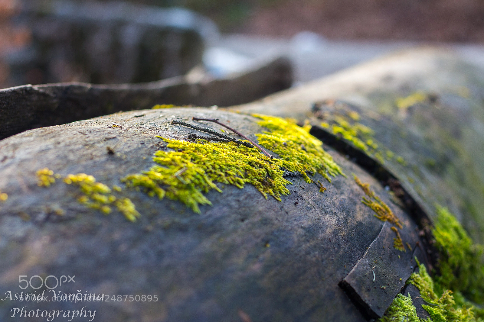 Canon EOS 650D (EOS Rebel T4i / EOS Kiss X6i) sample photo. New world photography
