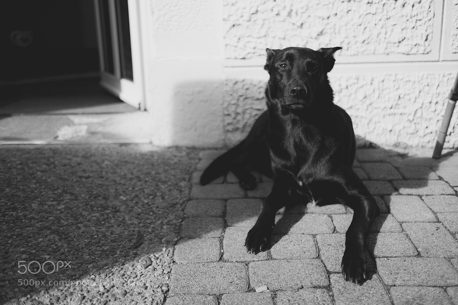 Fujifilm X-T10 sample photo. Posing photography