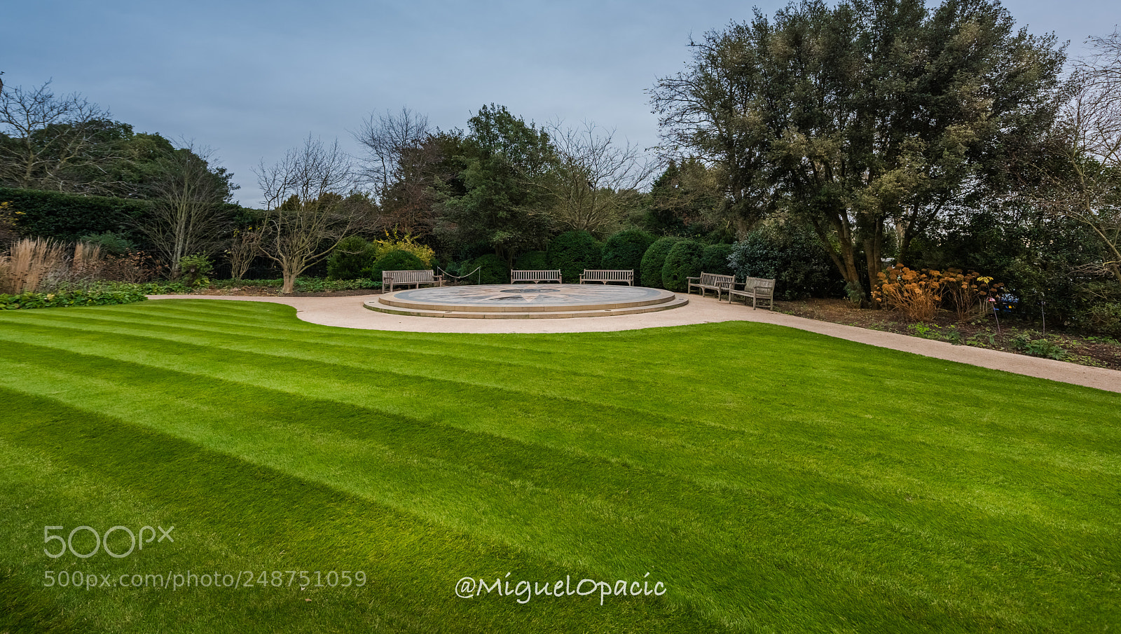 Nikon D810 sample photo. Windsor gardens photography
