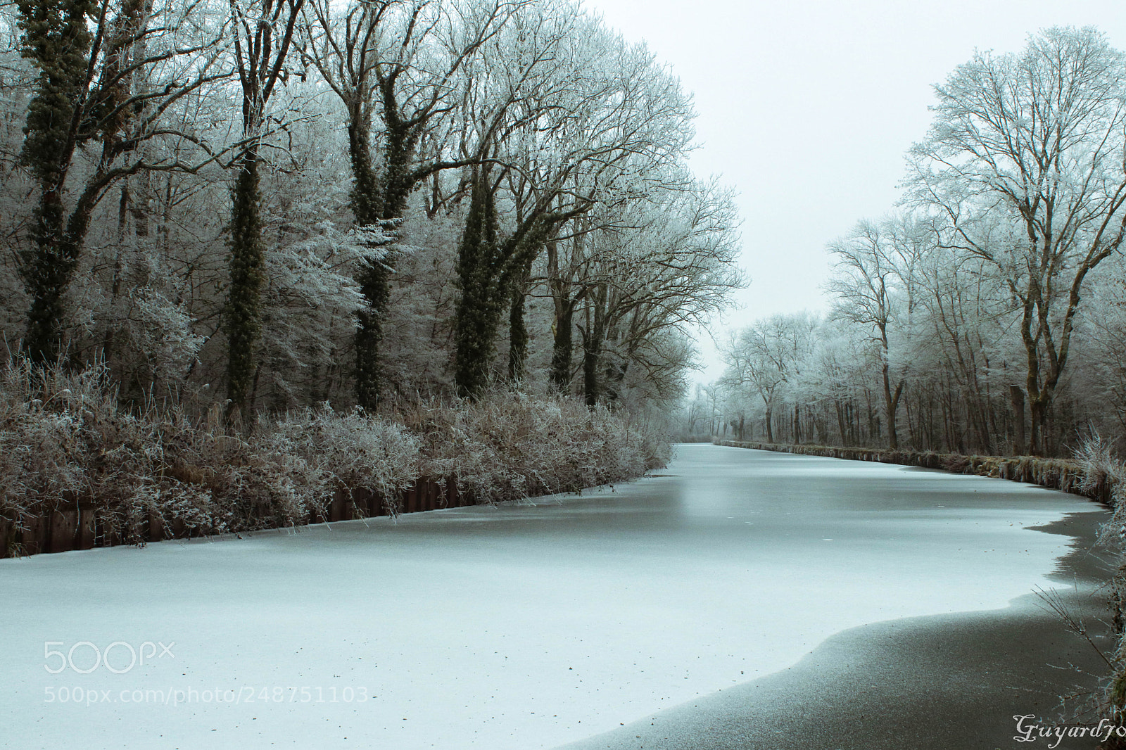 Canon EOS 80D sample photo. Canal gelé photography