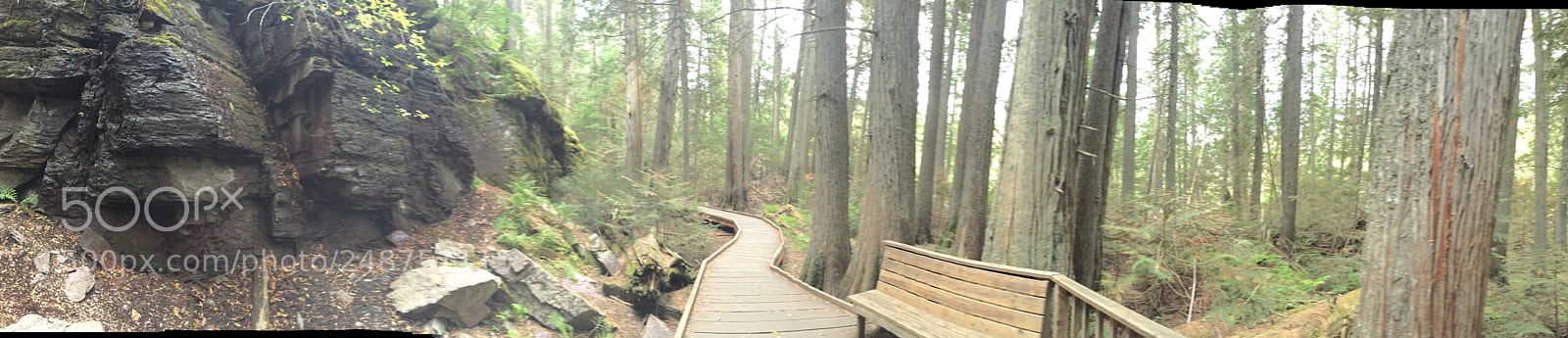 Apple iPhone 6 sample photo. Glacier national park photography