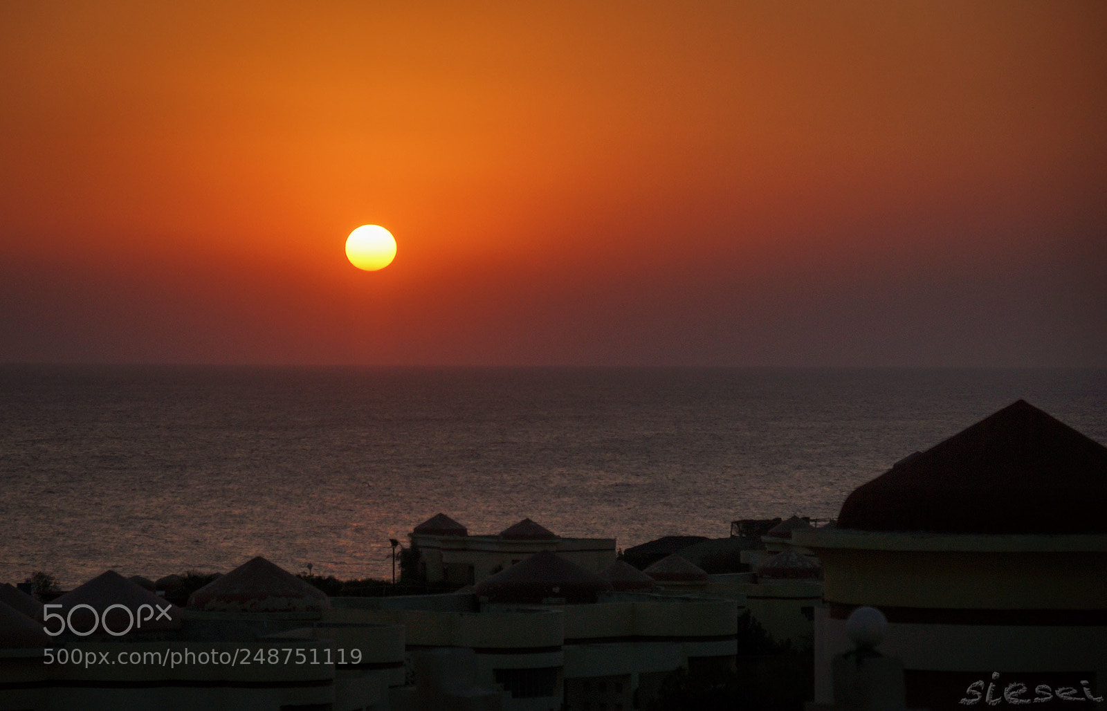 Sony SLT-A77 sample photo. Morningsun photography