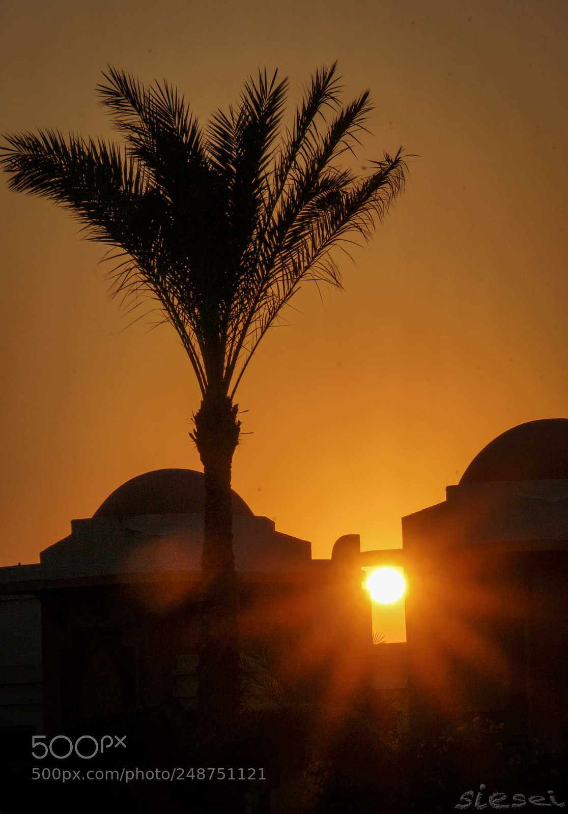 Sony SLT-A77 sample photo. Sunrise photography