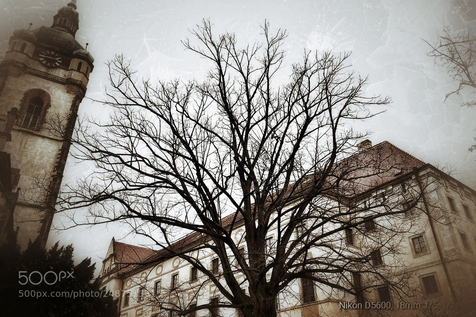Nikon D5600 sample photo. Autumn at the church photography