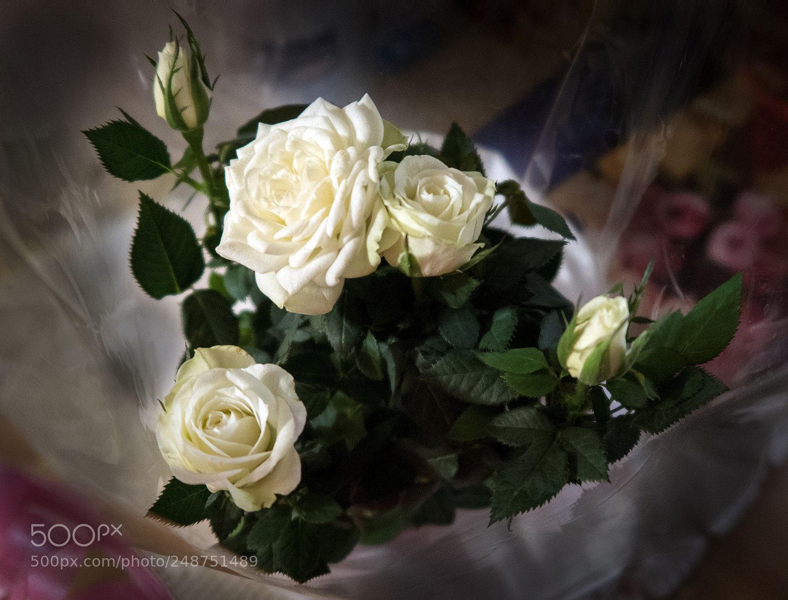Canon PowerShot G7 X Mark II sample photo. White roses photography