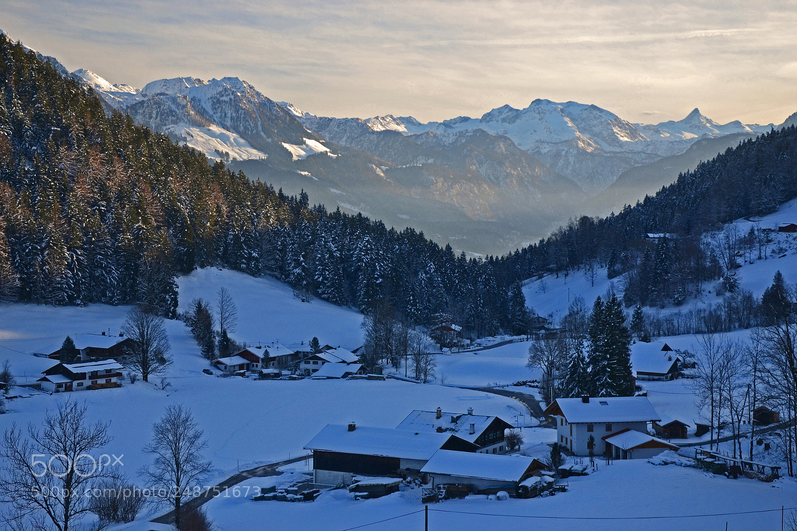 Nikon D3100 sample photo. Hintergern in winter photography