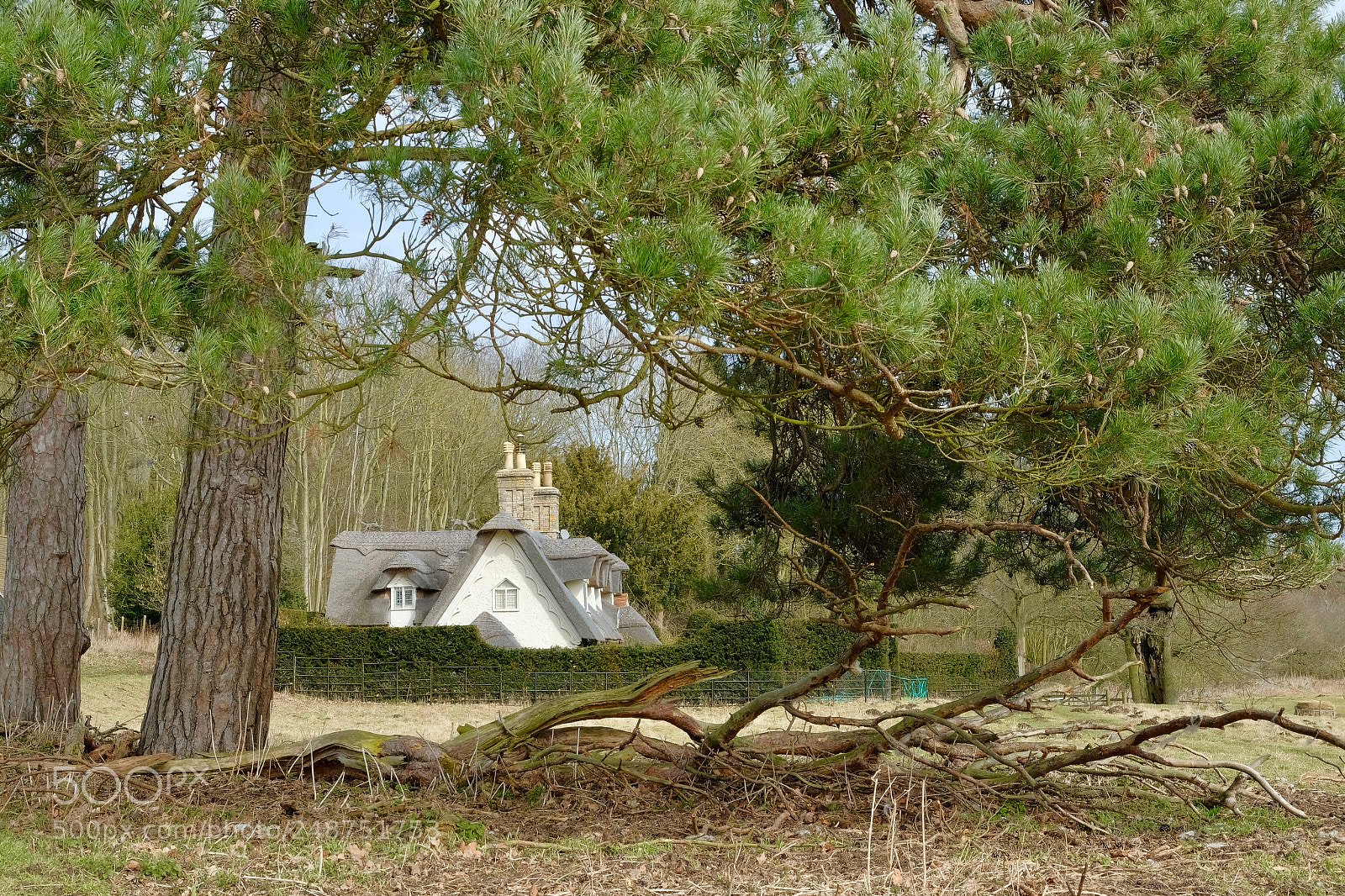 Fujifilm X-T2 sample photo. The three bears house? photography