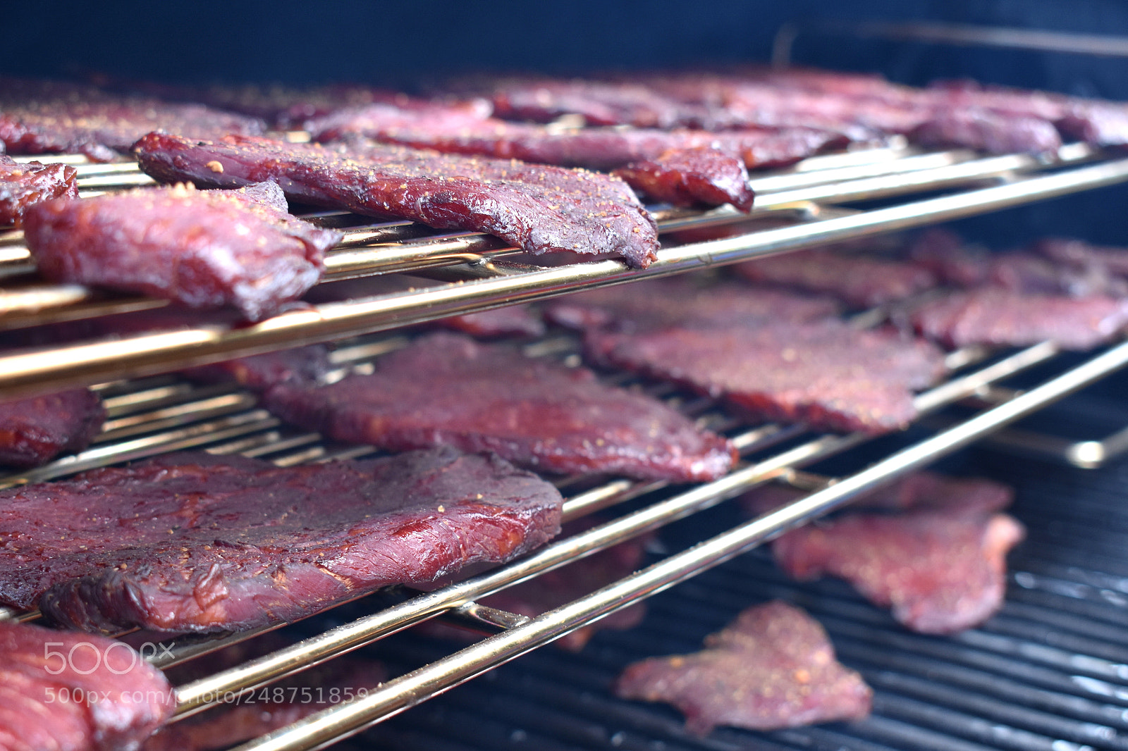 Nikon D3400 sample photo. Beef jerky photography