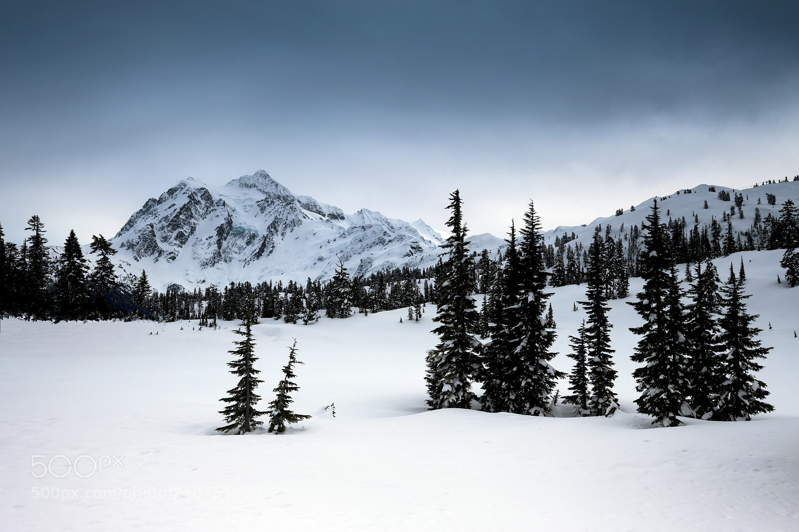 Nikon D850 sample photo. Shuksan winter photography