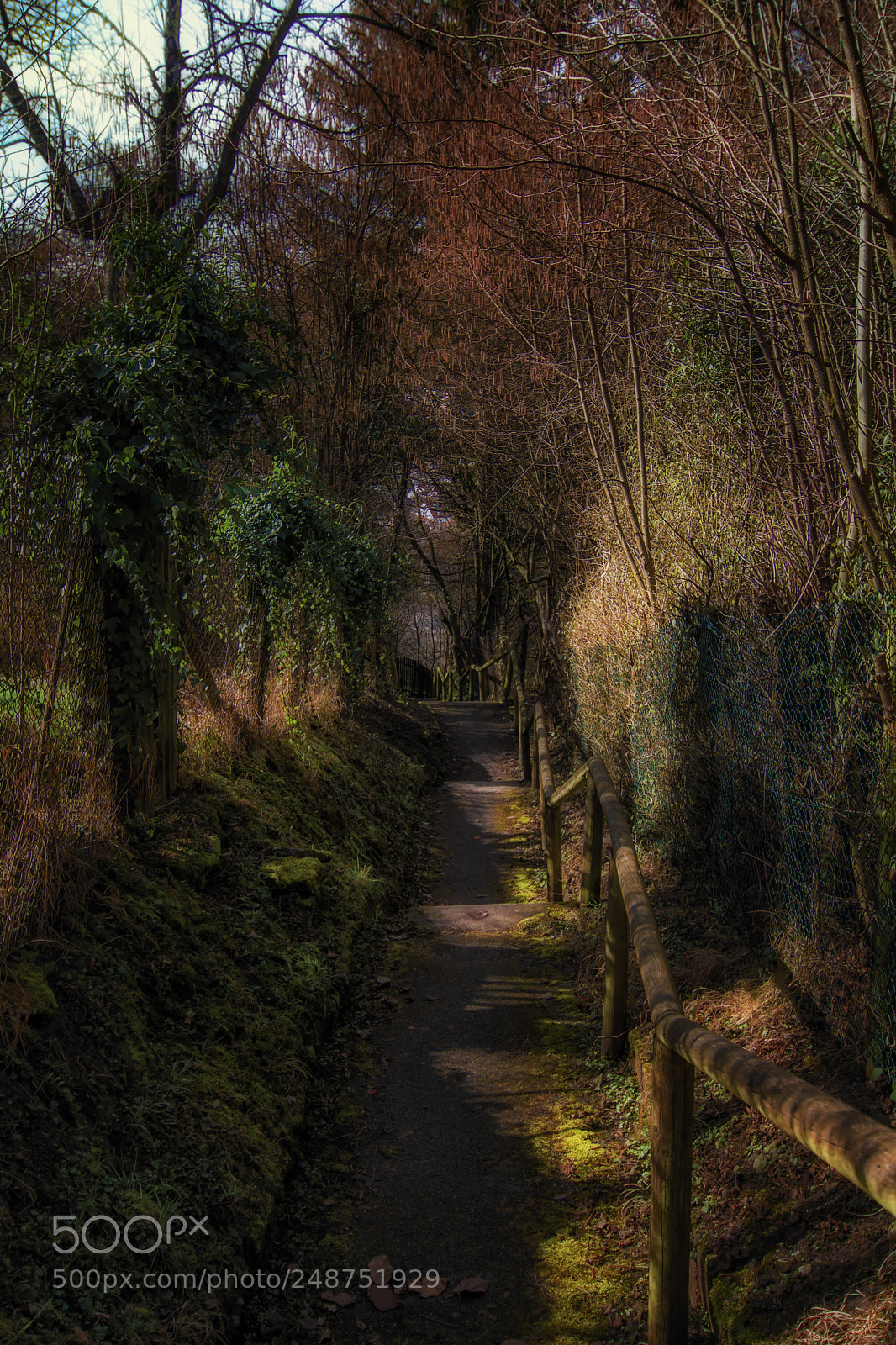 Nikon D7100 sample photo. The way down photography