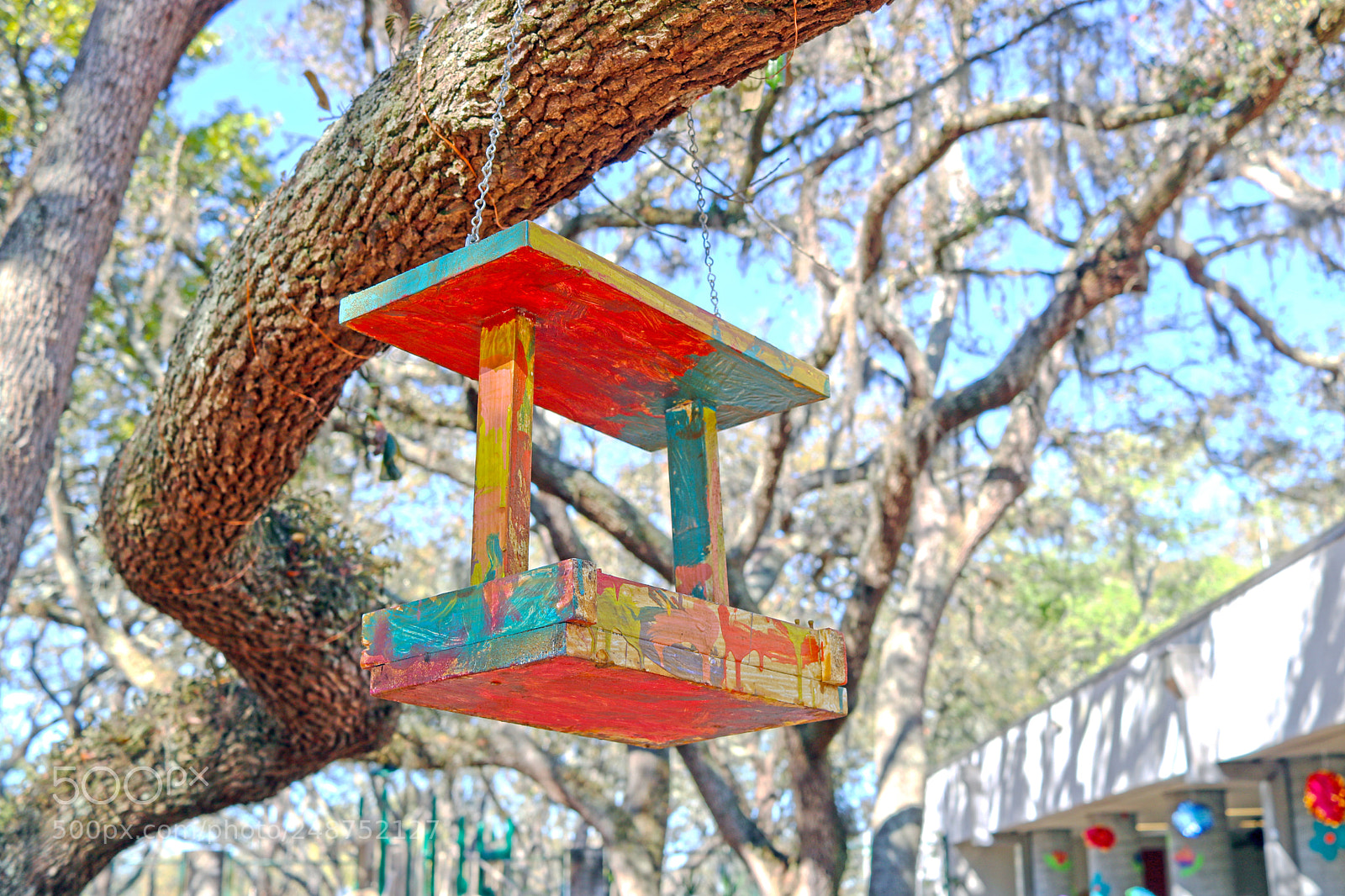 Canon EOS 750D (EOS Rebel T6i / EOS Kiss X8i) sample photo. Usf preschool for creative photography