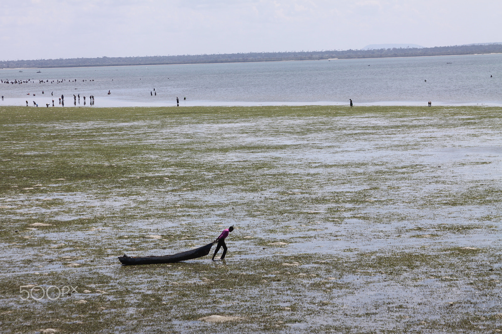 Canon EOS 50D + Canon EF 28-135mm F3.5-5.6 IS USM sample photo. Ibo photography