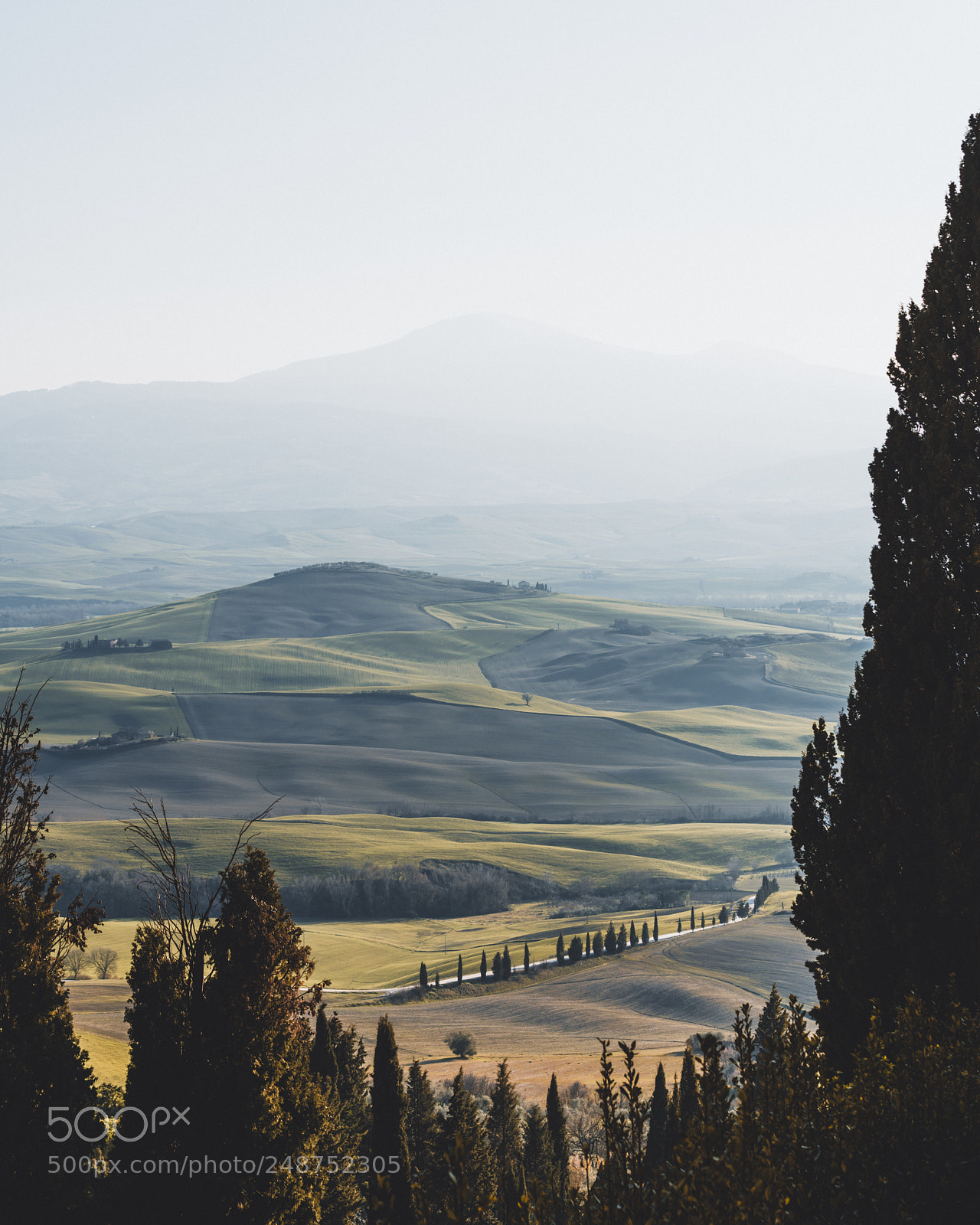 Sony a7R II sample photo. Untitled photography