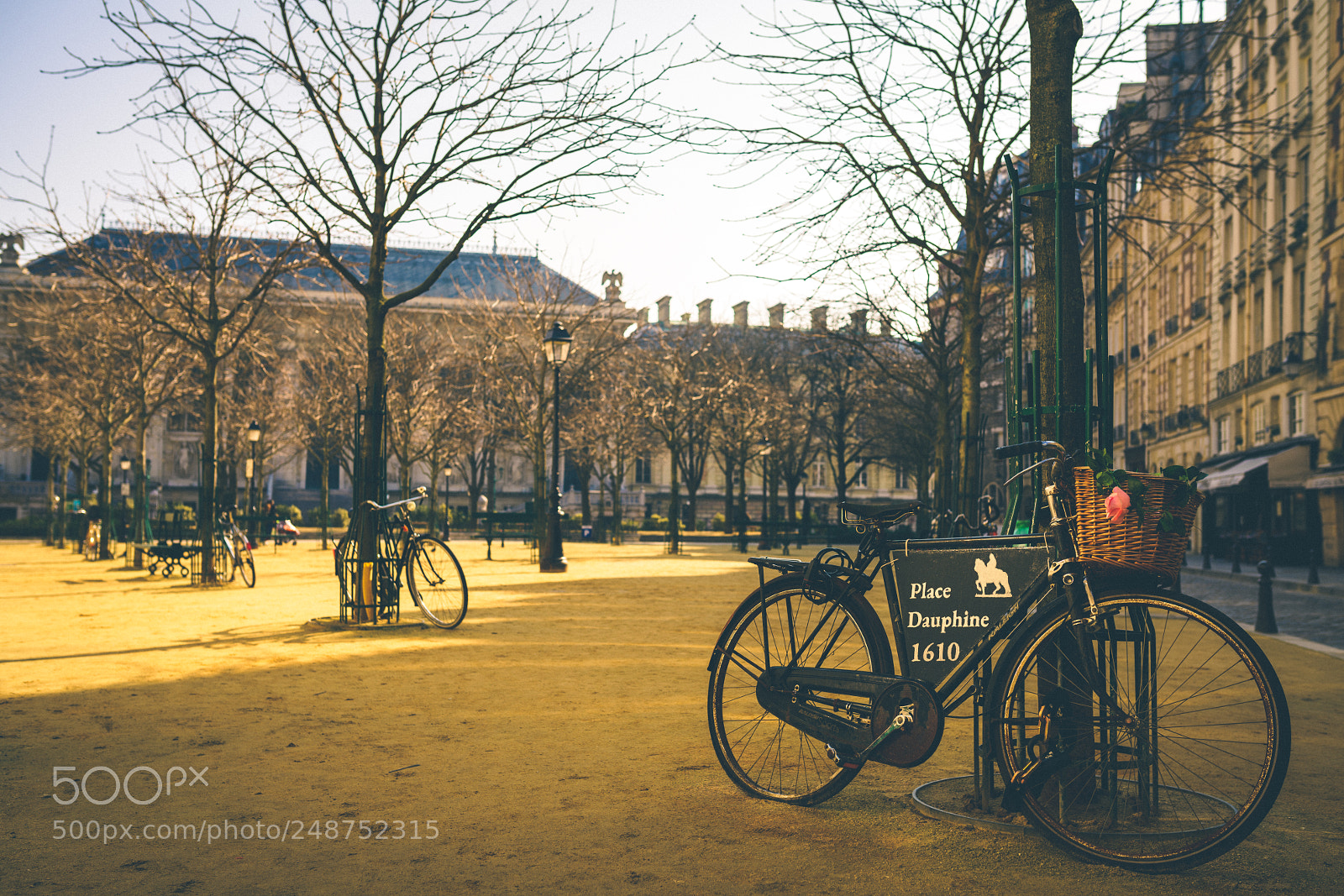 Sony a7R II sample photo. Place dauphine photography