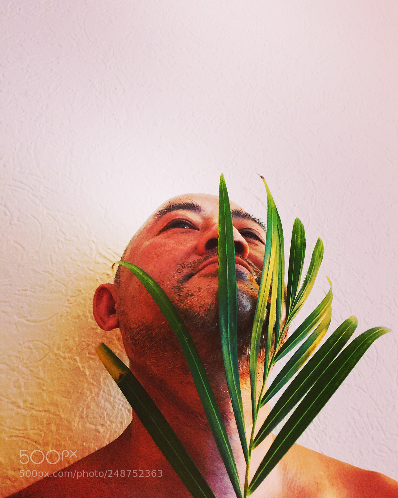 Apple iPhone 6 Plus sample photo. A portrait with palm photography