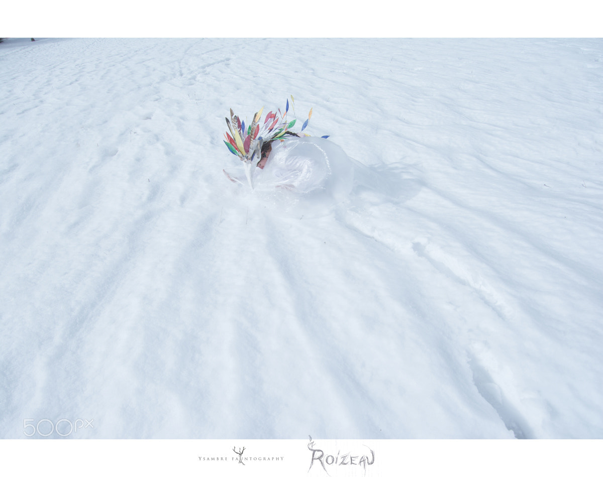 Nikon D7100 sample photo. Roizeau / hatching photography