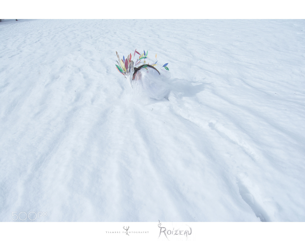 Nikon D7100 sample photo. Roizeau / hatching photography