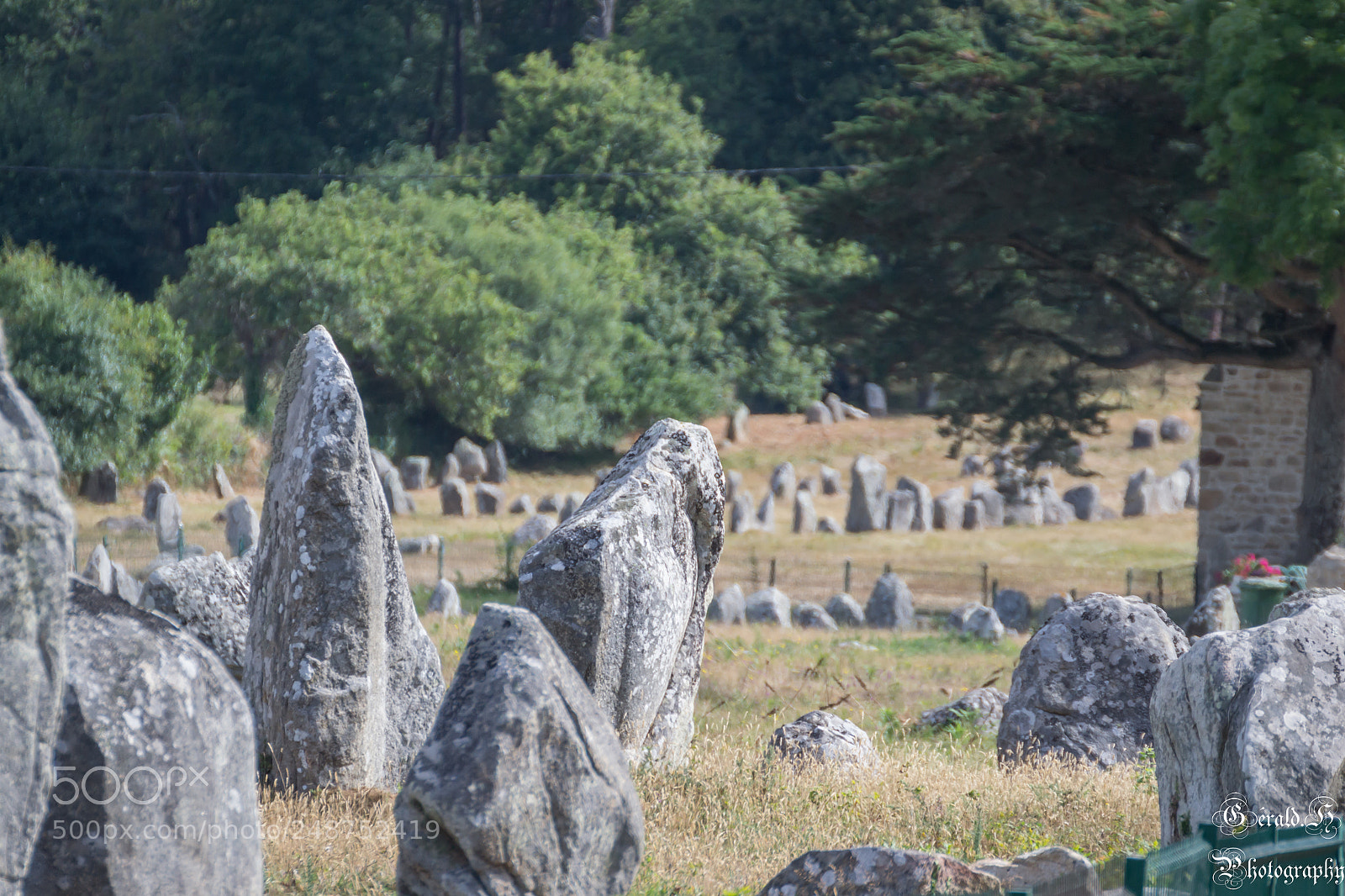 Nikon D3100 sample photo. Carnac photography