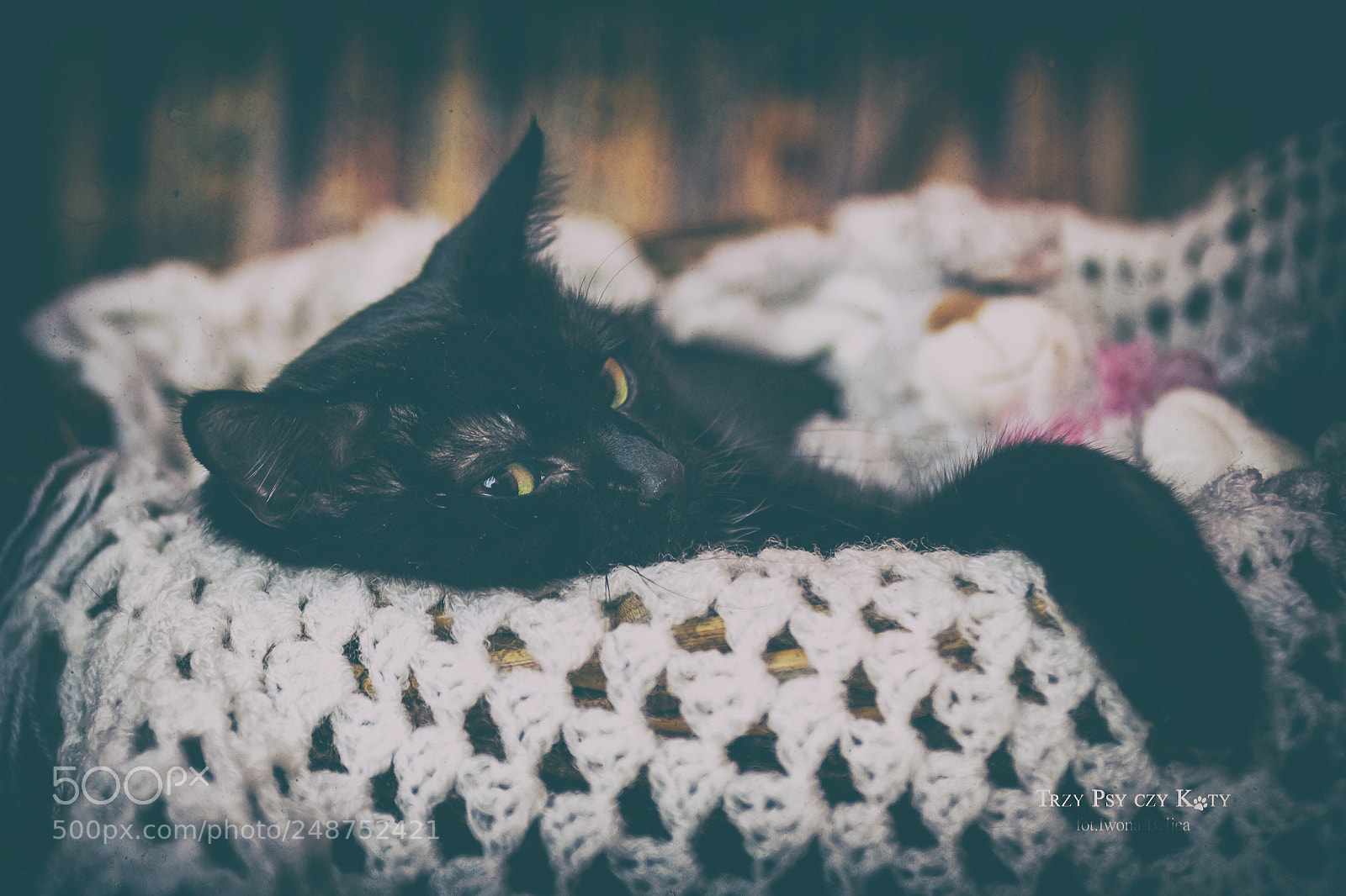 Canon EOS 5D sample photo. Weekend plans photography