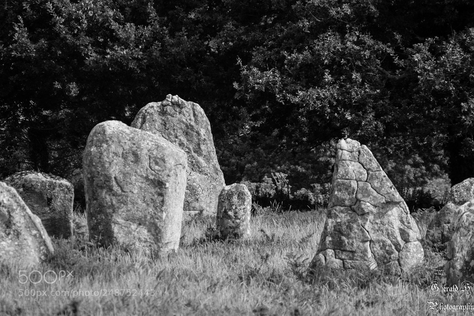 Nikon D3100 sample photo. Carnac photography