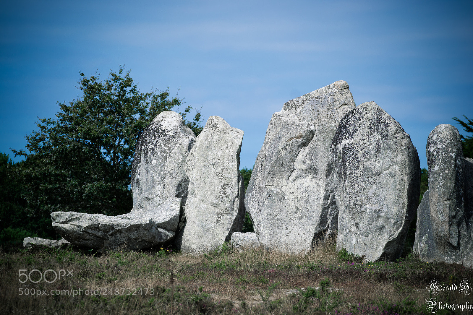 Nikon D3100 sample photo. Carnac photography