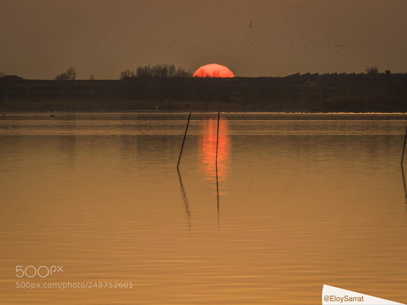 Olympus OM-D E-M5 II sample photo. Sunset estany ivars and photography