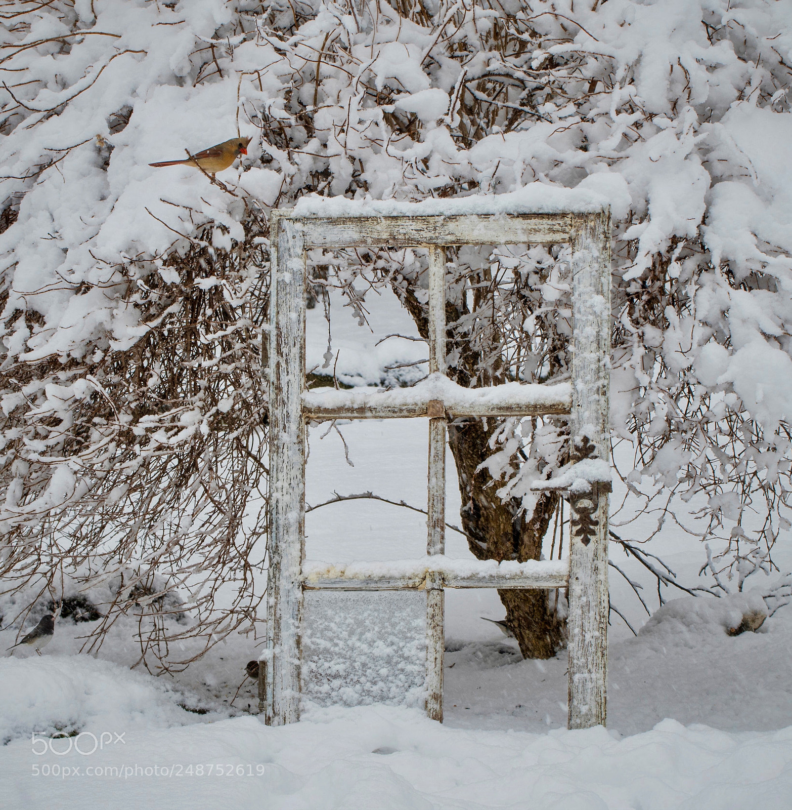 Nikon D500 sample photo. Knowing the second nor photography