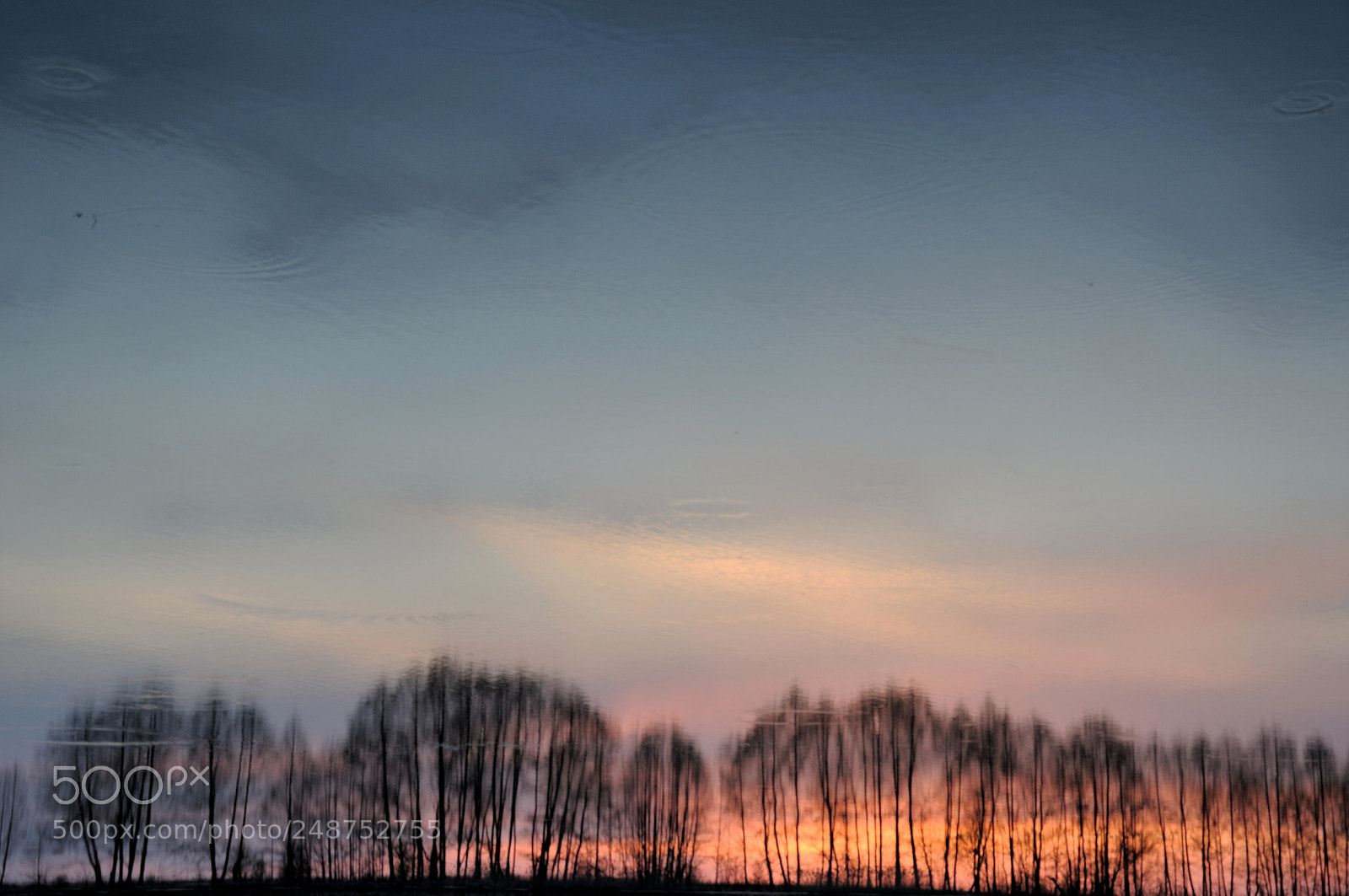 Nikon D90 sample photo. Bayan photography