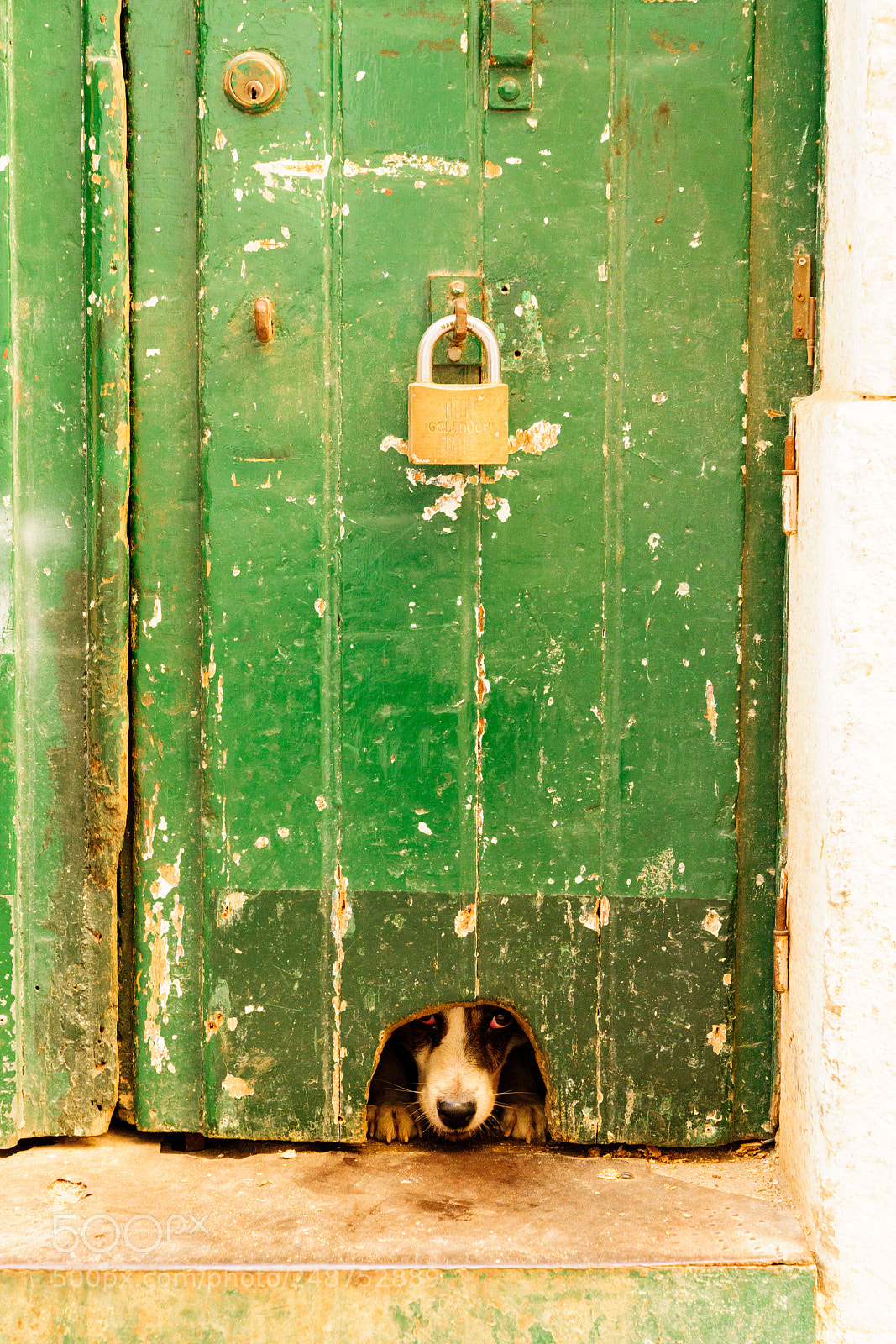 Sony a7R II sample photo. Streets of lisbon 1 photography