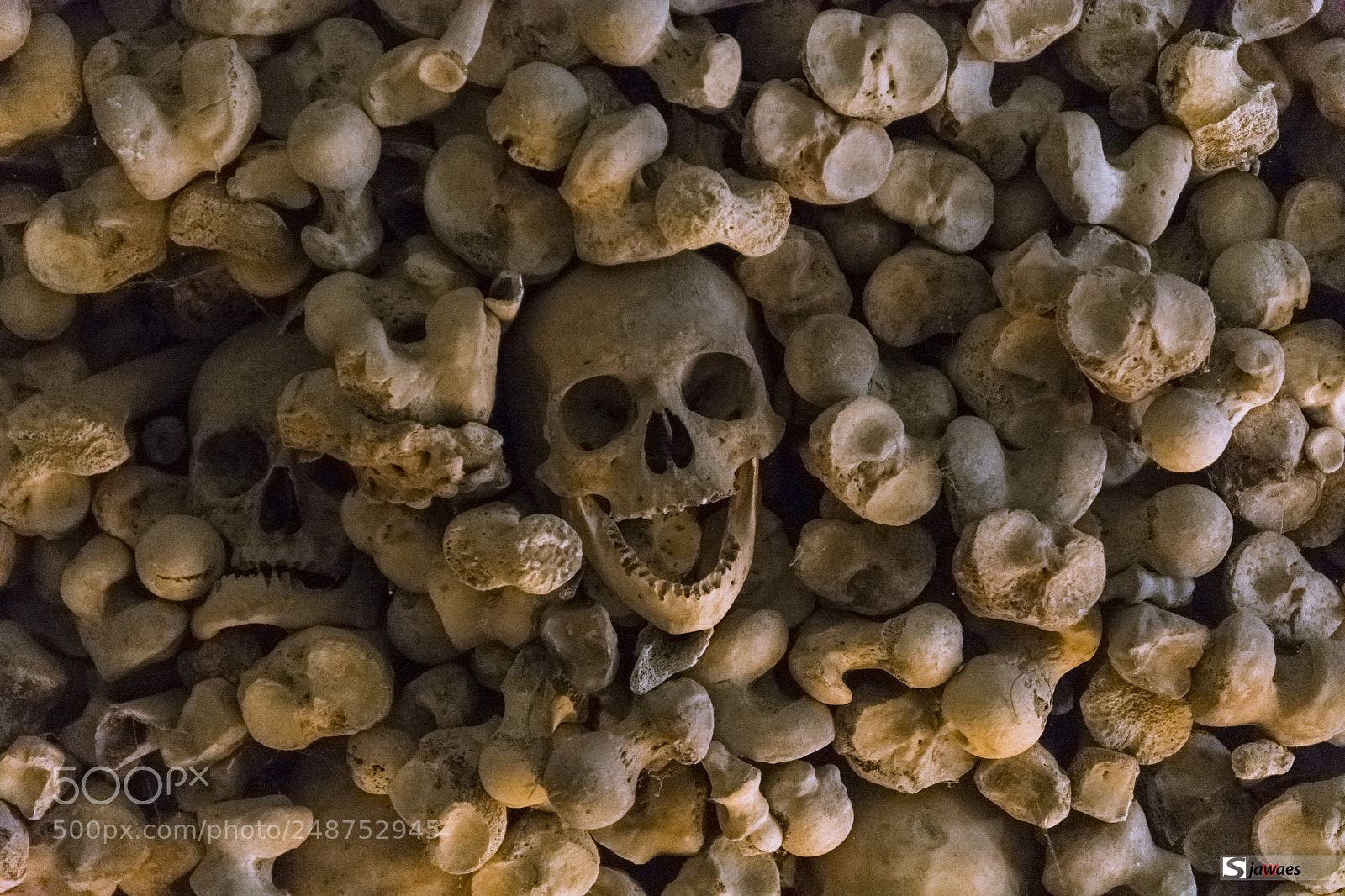 Nikon D7200 sample photo. Osario de wamba valladolid photography
