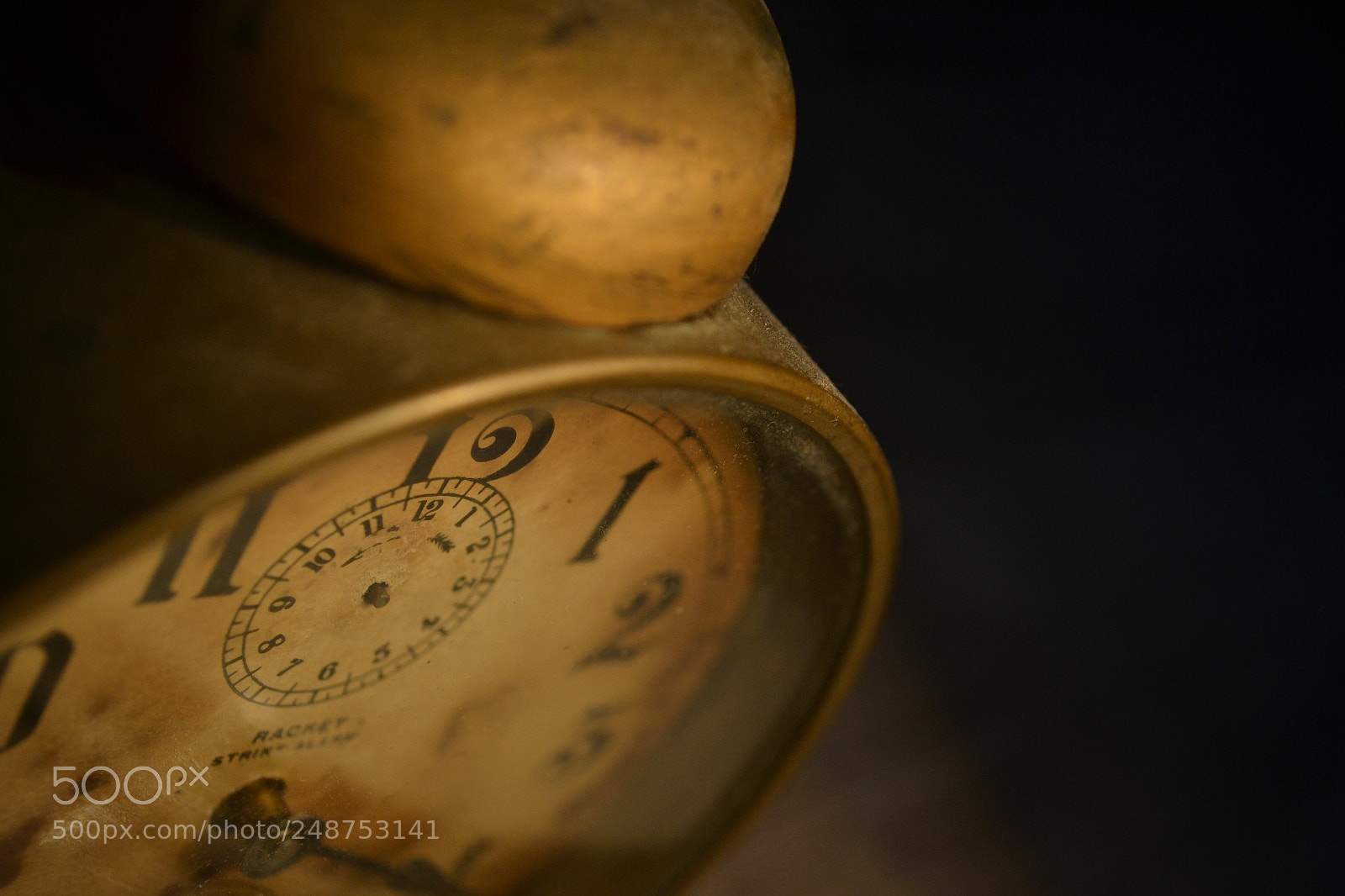 Nikon D3100 sample photo. Untitled photography