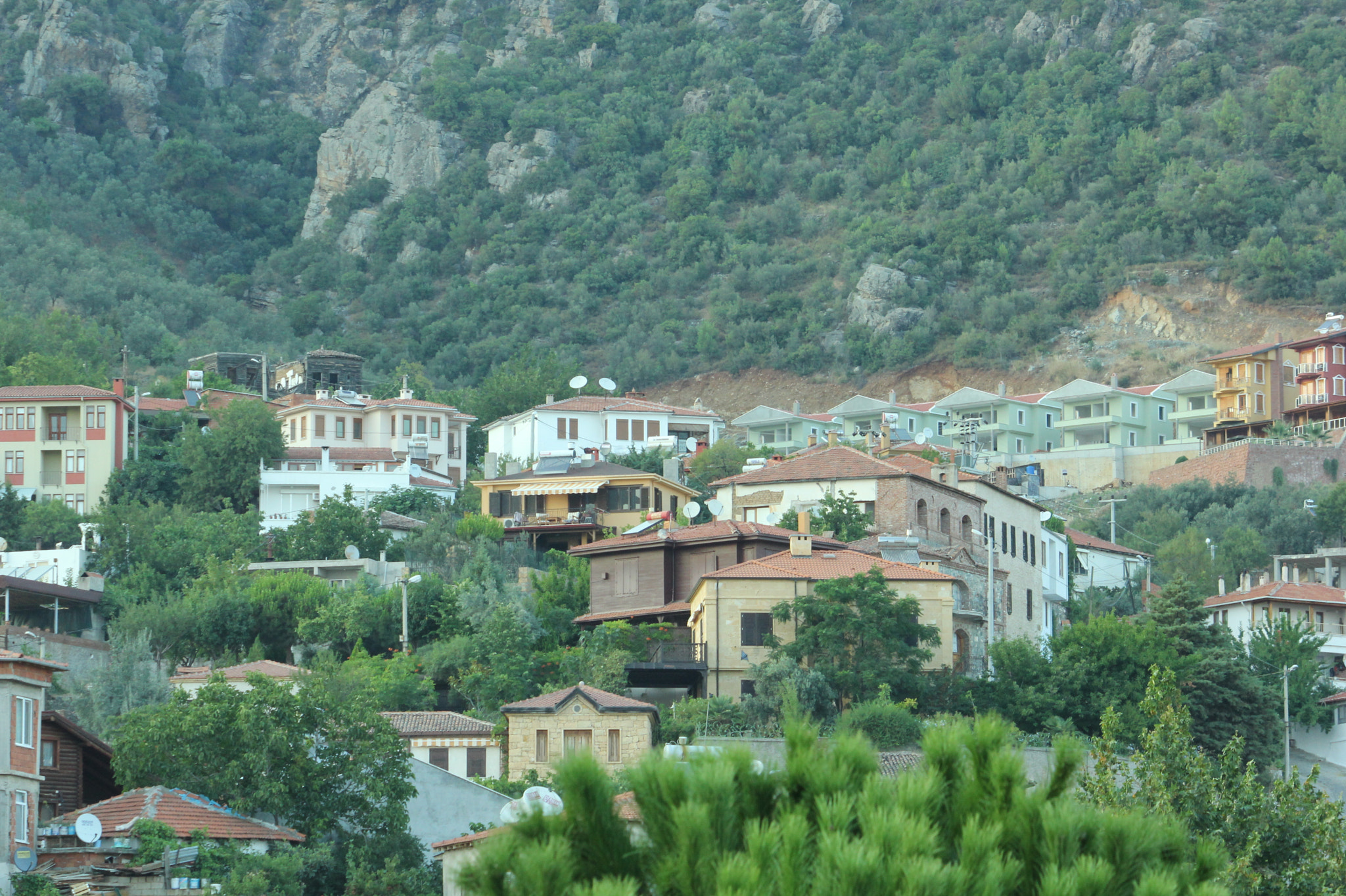 Canon EF-S 55-250mm F4-5.6 IS sample photo. Altınoluk turkey photography