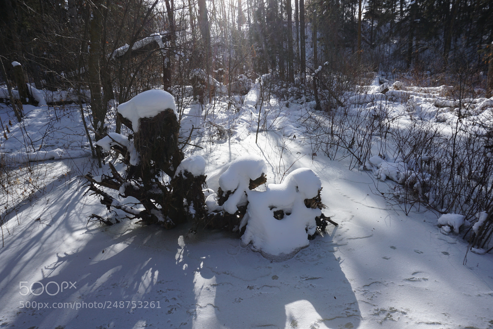 Sony a6000 sample photo. Dsc photography