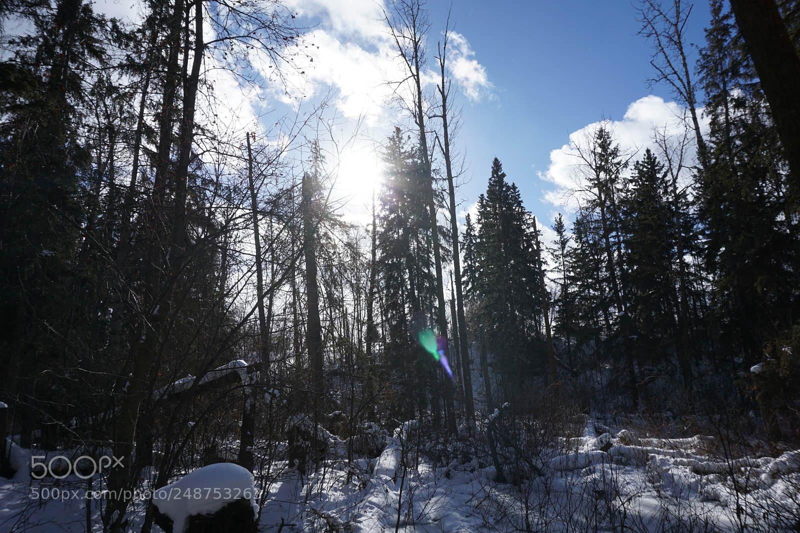 Sony a6000 sample photo. Dsc photography