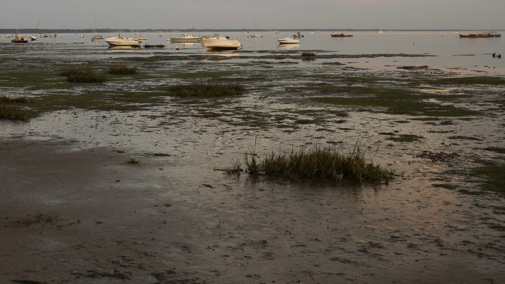 Panasonic Lumix DMC-GF1 sample photo. Bassin d'arcachon photography