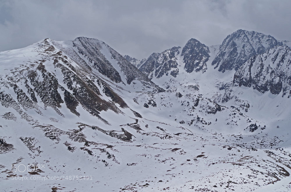 Pentax K-50 sample photo. Besneeuwde pyr n es photography