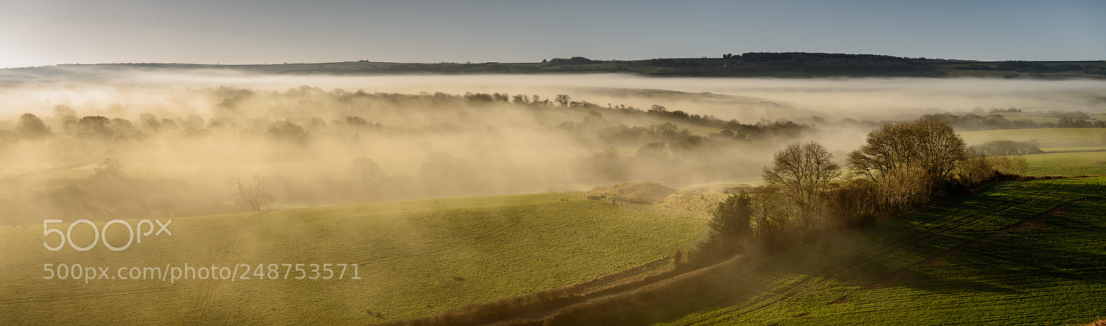 Nikon D800 sample photo. Early morning mist pano photography