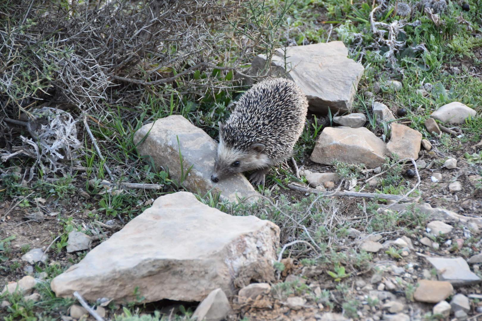 Nikon D3400 sample photo