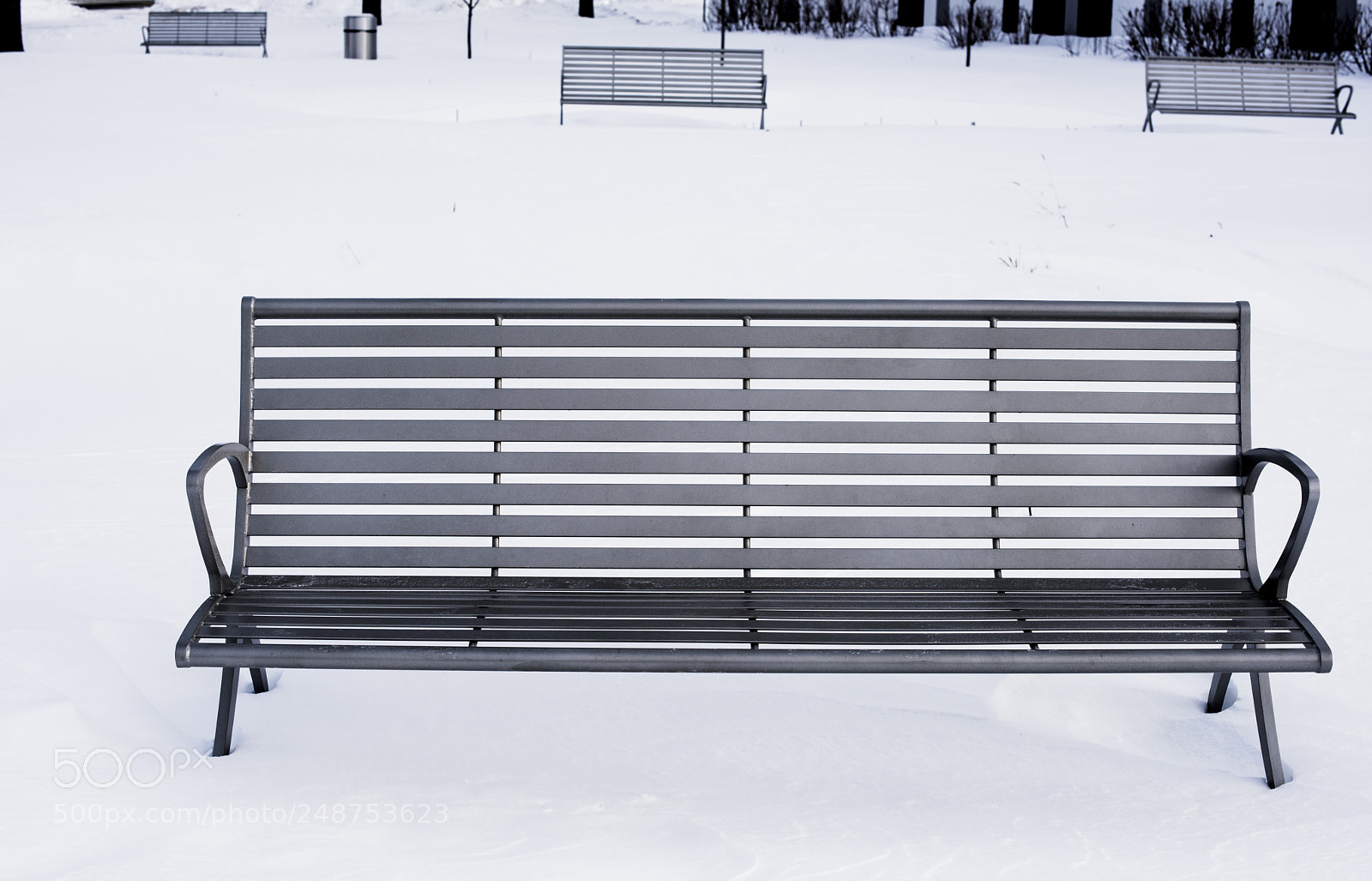 Nikon D810 sample photo. Nb faisait frette photography