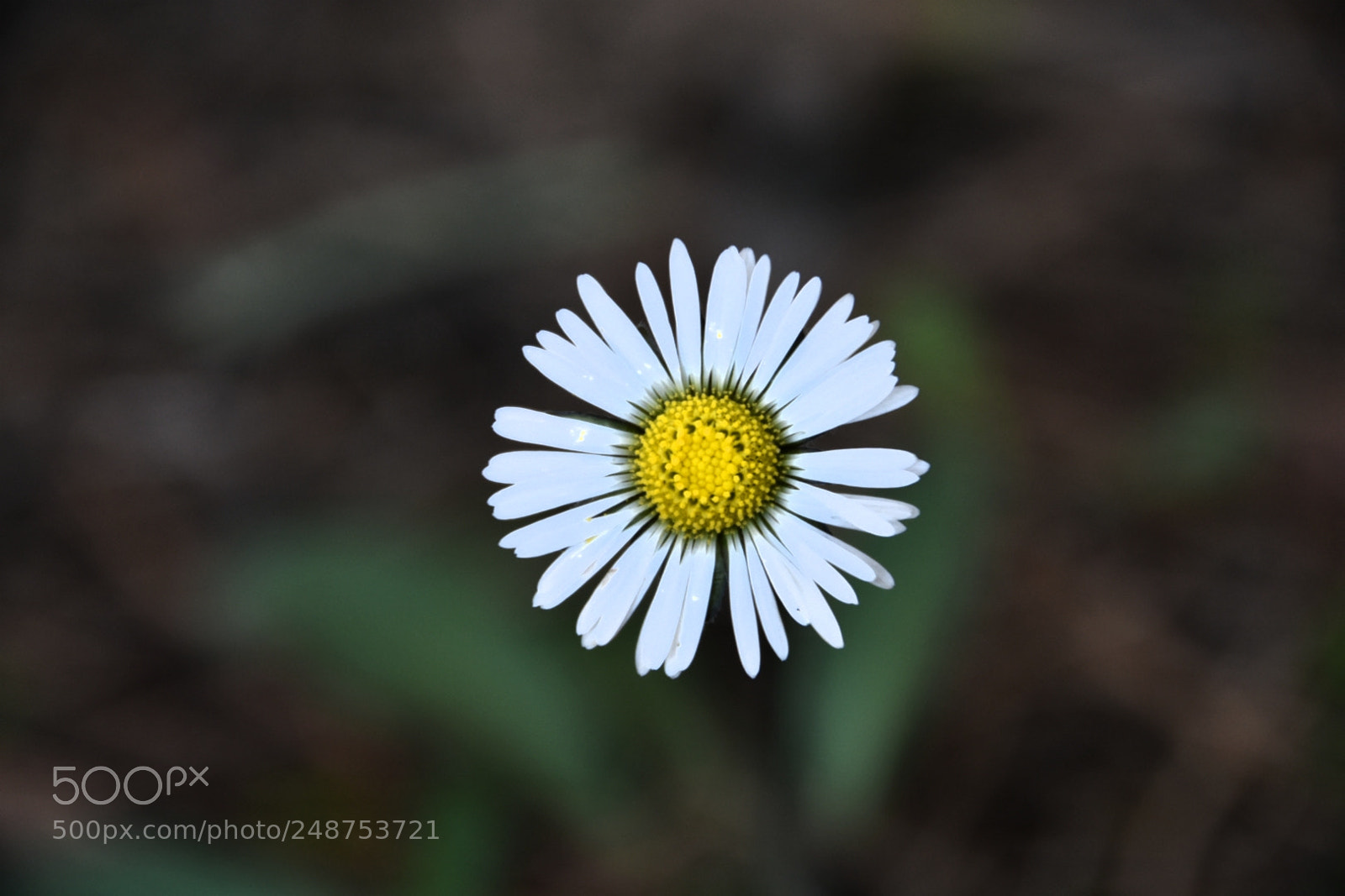 Nikon D3400 sample photo. Untitled photography