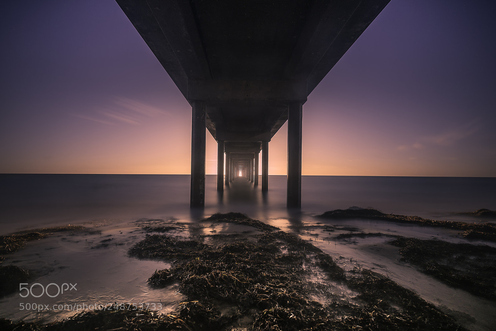 Nikon D810 sample photo. Searching for light photography