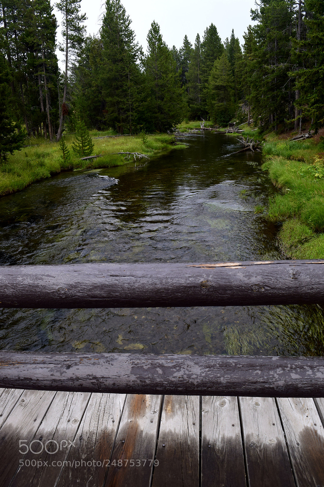 Nikon D5300 sample photo. Serenity! photography